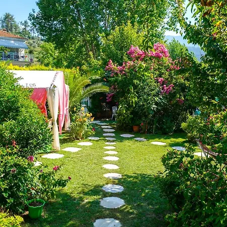 Villa Angel - Town *